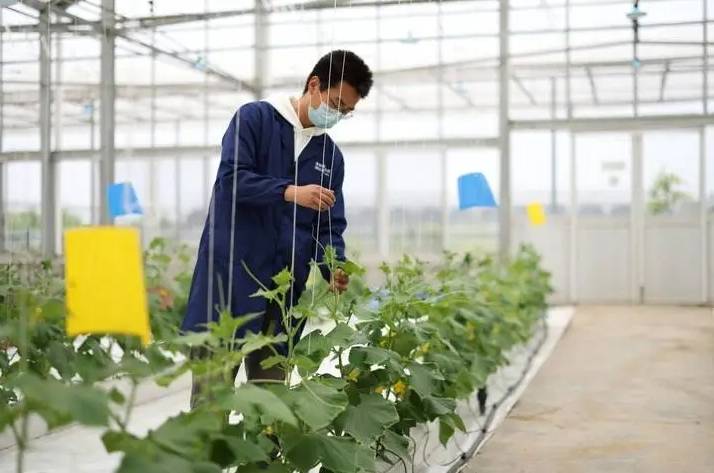农业技术员证书有用么？报名方式？学习内容？适合人群？