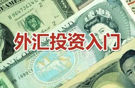 个人如何投资外汇(个人怎么进行外汇投资)